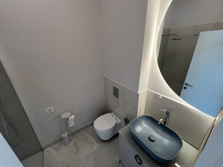 Vanzare Vila Ultramoderna Iancu Nicolae - 30