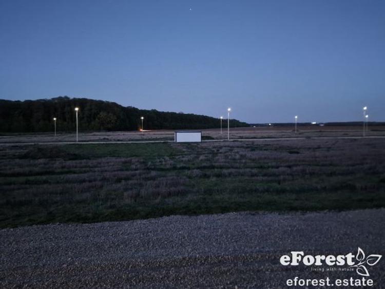 Teren rezidential la padure Crevedia - 5