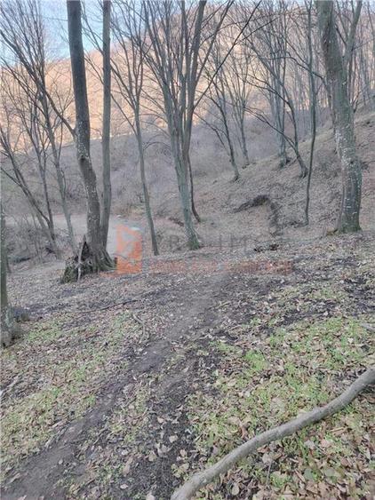 Teren intravilan zona Monteoru - 8