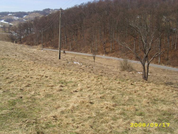 Teren Construcții intravilan de 12000 mp, în Roșia