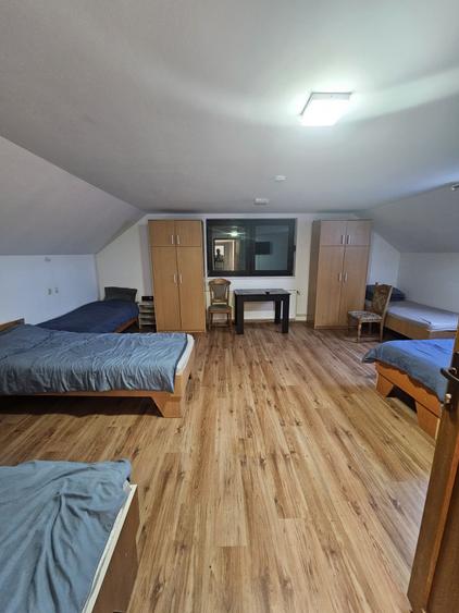 Proprietate speciala Dumbravita - casa individuala !! - 20