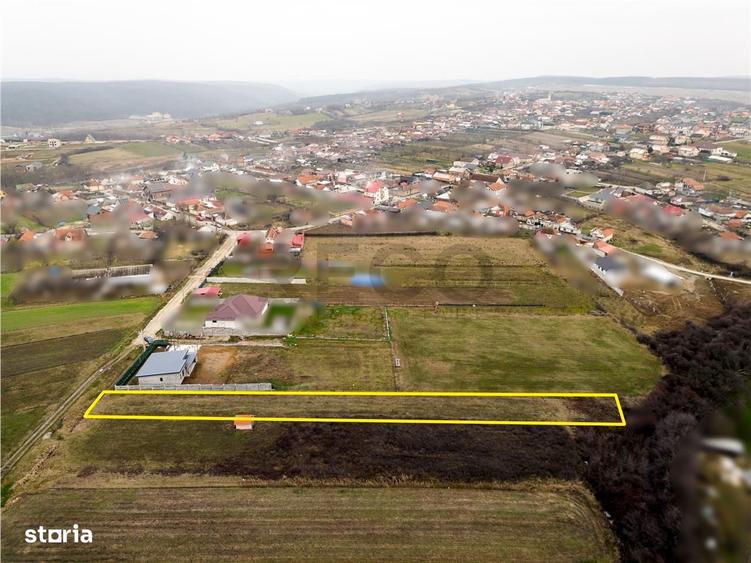 RECO teren Cordau - 8