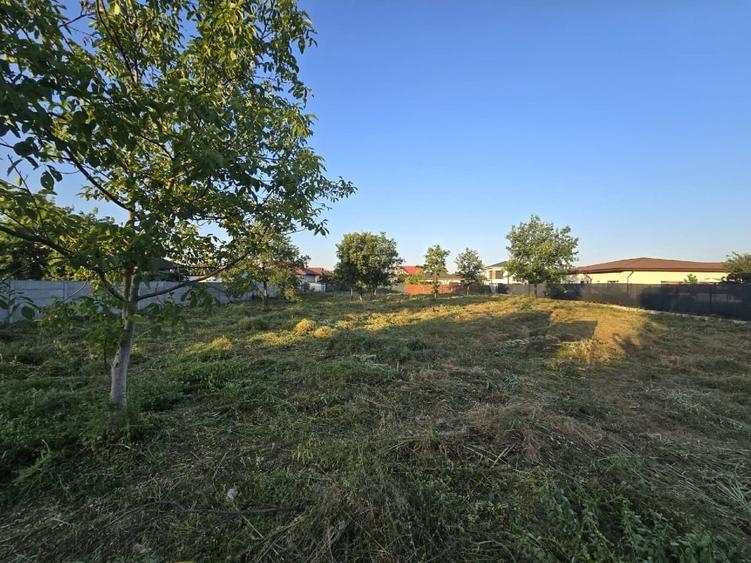 2 terenuri de 1250 mp fiecare - 6