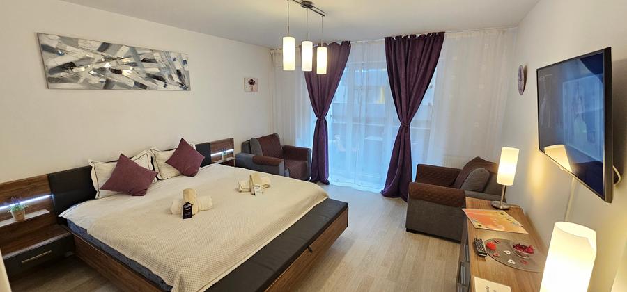 Garsoniera de inchiriat decomandata zona Avatgarden Bartolomeu - 7