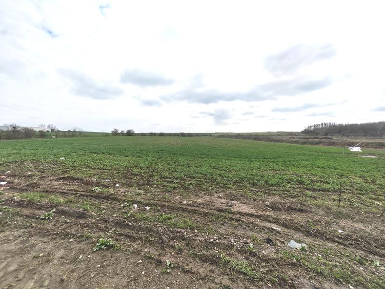 Teren intravilan |  Popesti-Leordeni | Acces direct din Sos de Centura - 4