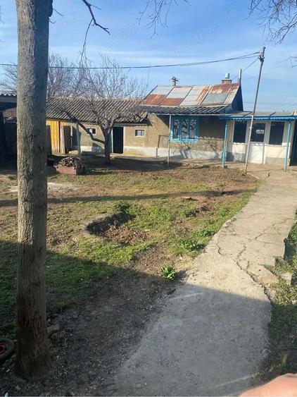 vand casuta la tara - 2