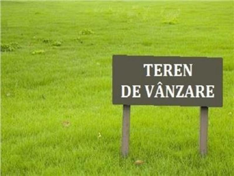 Vand teren agricol 5 ha - 1
