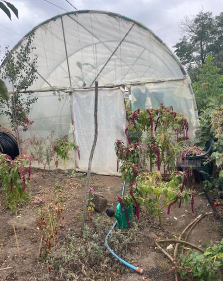 Casa 4 camere, 790 mp teren, zona Bariera Vilcii - 14