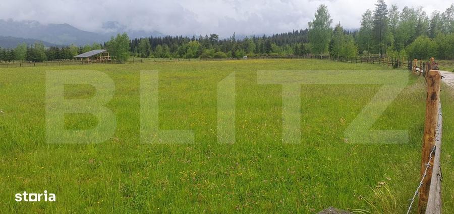 Teren extravilan, 6200 mp, zona Saru Dornei - Vatra Dornei - 4