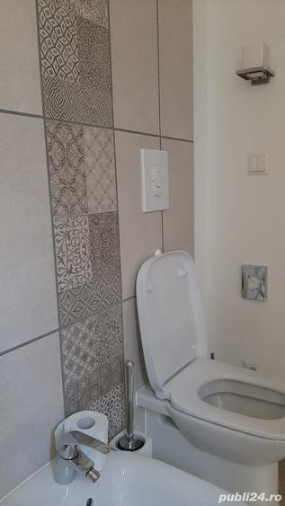 Casa cu anexa mare si teren la 35 km de Timisoara - 2