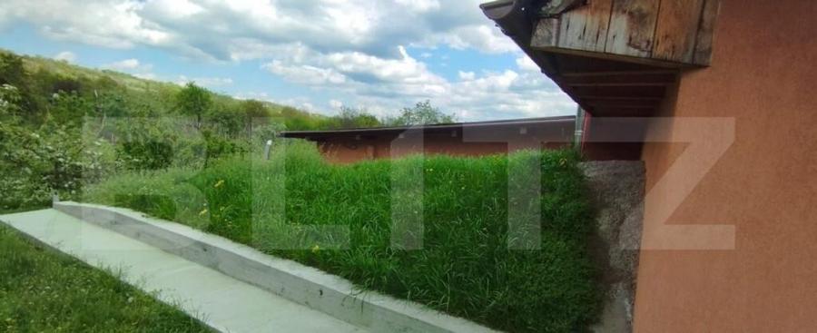 Casa+ casa vacanta, 2200 mp livada, Schitu-Duca - 1