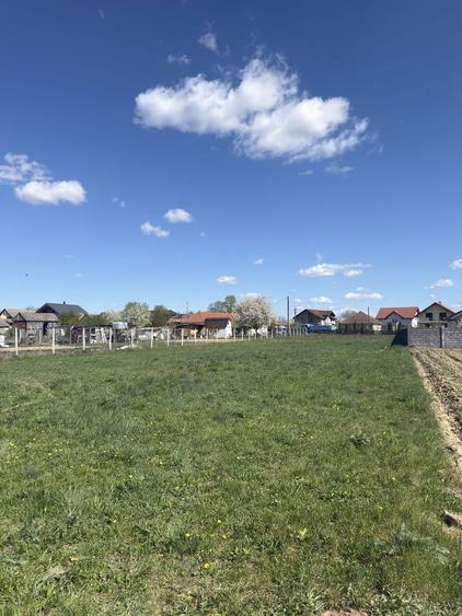 Vand teren intravilan Micula noua - 3