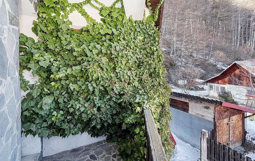 Casa de Vacanta in Predeal - 46