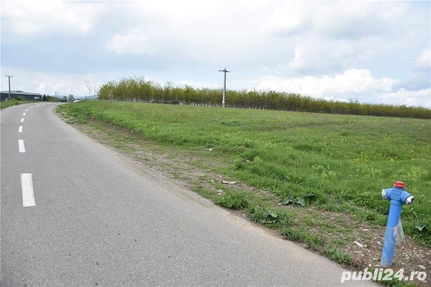 Teren de 5000 mp, în Cut