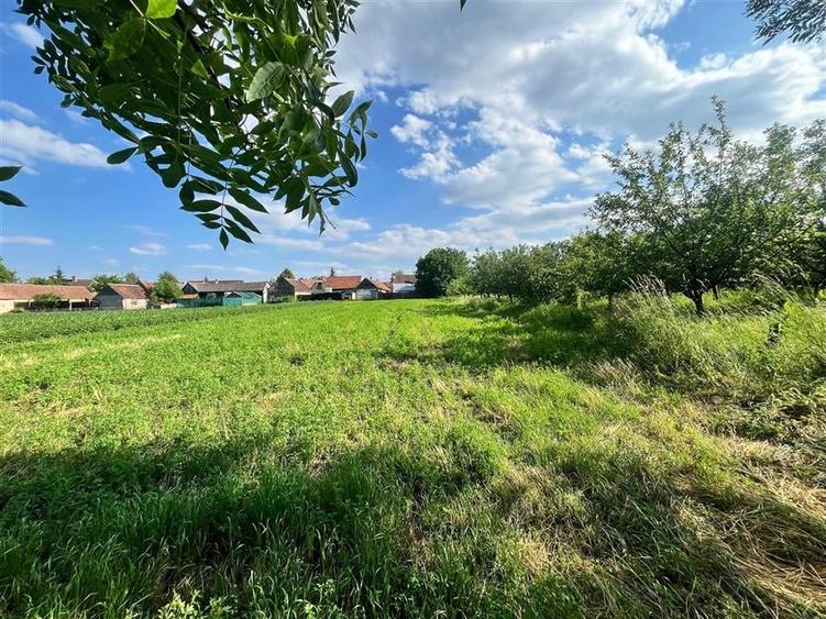 TEREN INTRAVILAN, 1200 mp, HARMAN, COMISION 0% - 5