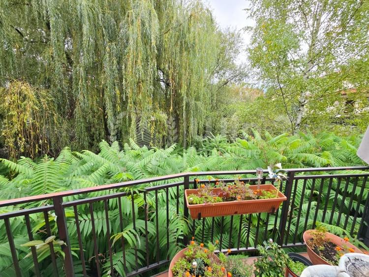 Casa individuala 550mp util | 2000mp teren | Buna Ziua | Hotel Athos - 11