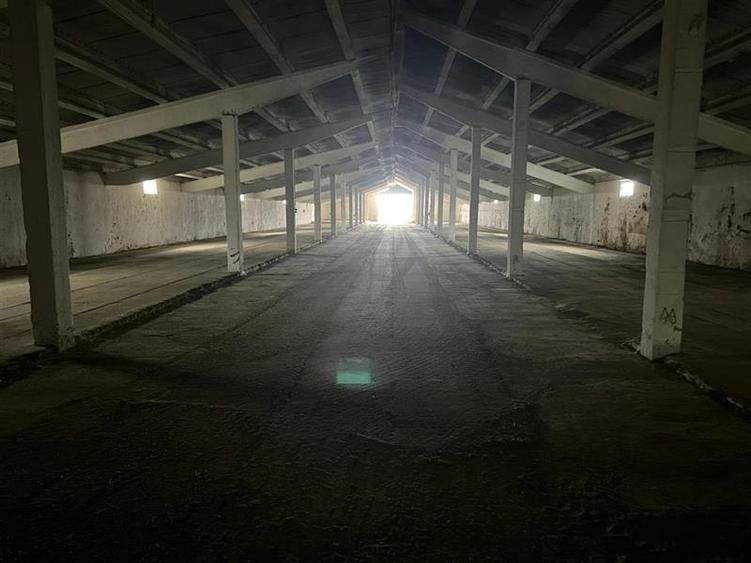 Hale de inchiriat localitatea M. Kogalniceanu Tulcea - 6