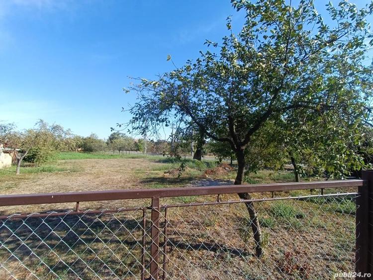 Vand sau schimb cu apartament casa caramida+ vaiuga + teren pentru casa in com. Livezile jud.Timi?. - 3