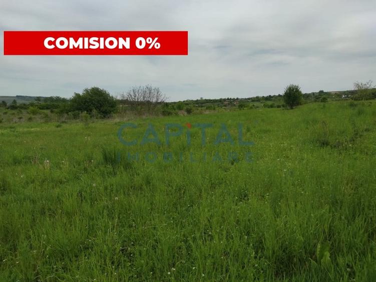 Comision 0%! Oportunitate, teren intravilan, 800 mp Masterplan, Sopor - 1