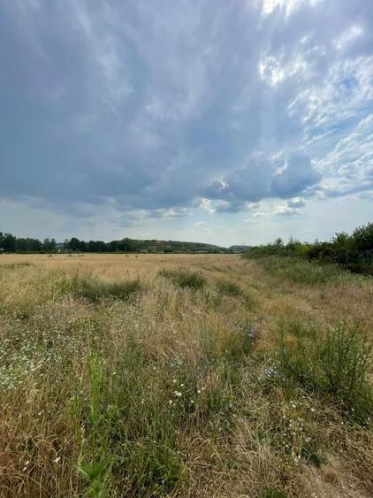 Teren Construcții intravilan de 2994 mp, în Vasile Alecsandri