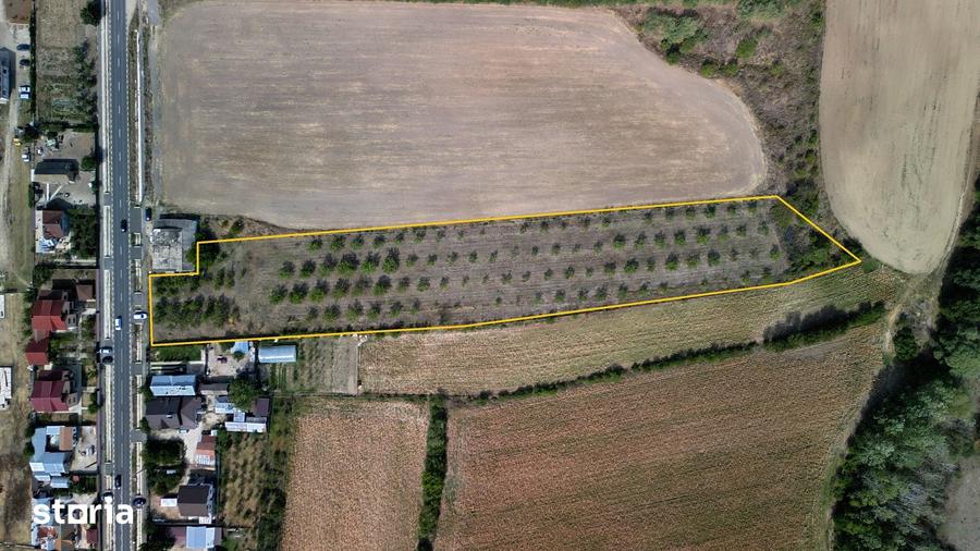 Teren de 9654 mp, în Dobra