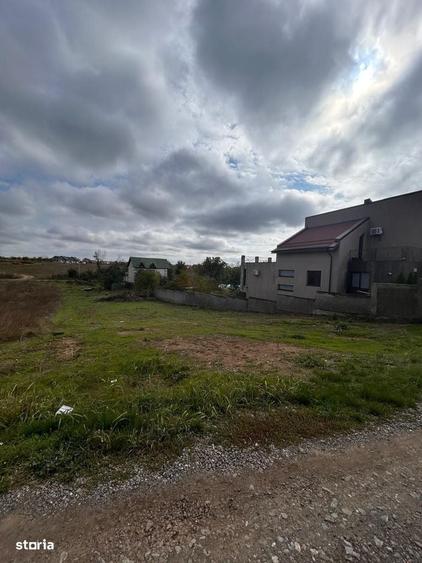 Spațiu comercial, în Pasărea