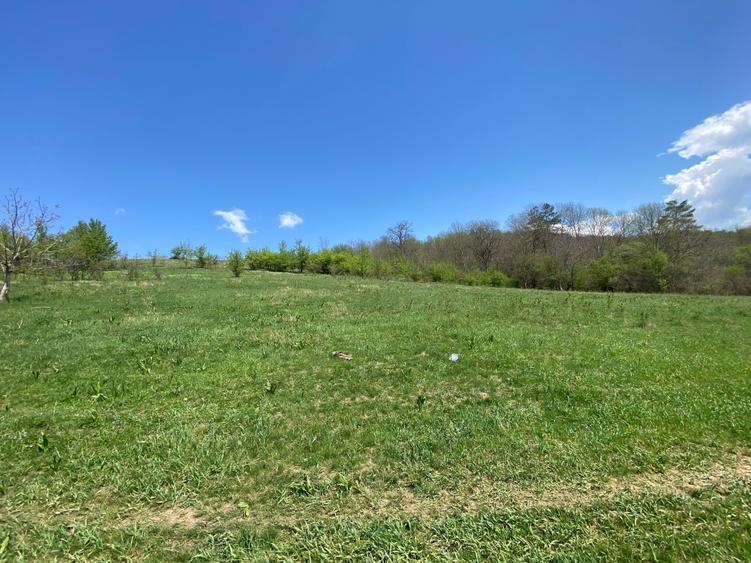 Teren de 146100 mp, în Hălmeag