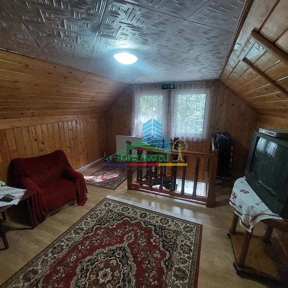 Spațiu comercial, de 450 mp, în Lepșa