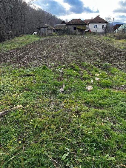 Casă în Mădrigești