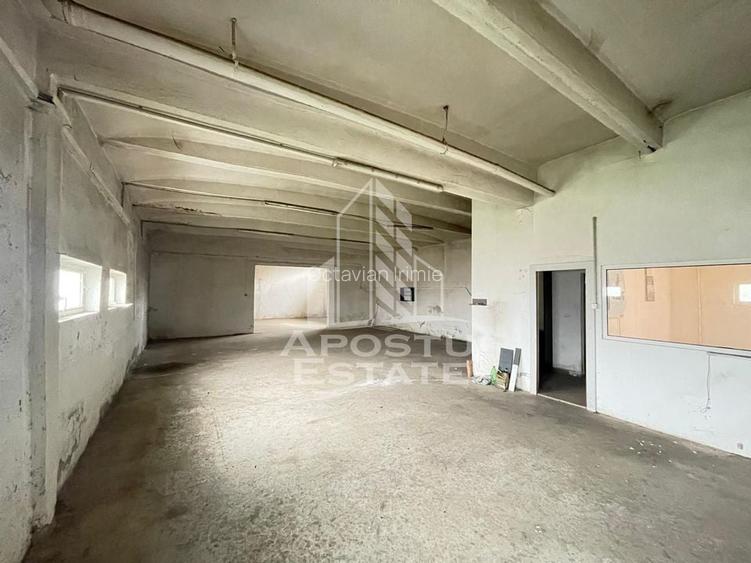 Hala 247 mp, ideala depozitare sau productie, Calea Sagului Hala 247 mp, ideala depozitare sau productie, Calea Sagului