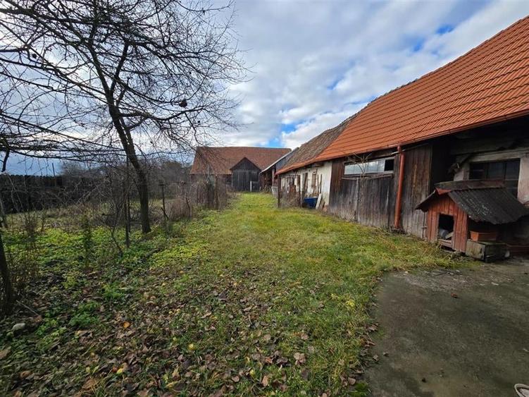 Casa de vanzare in Cincsor - 13