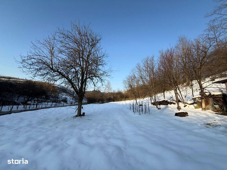 Vand Casa in Tarnava strada principala - 4