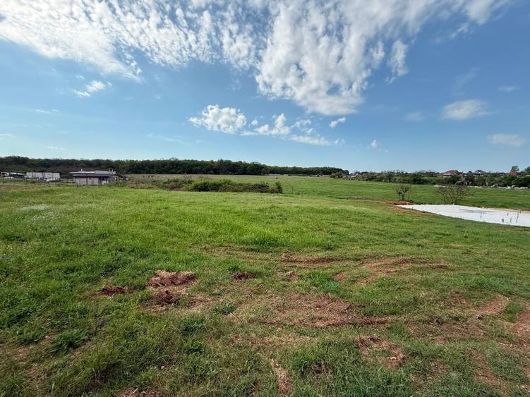 Teren intraan chisirid - 3