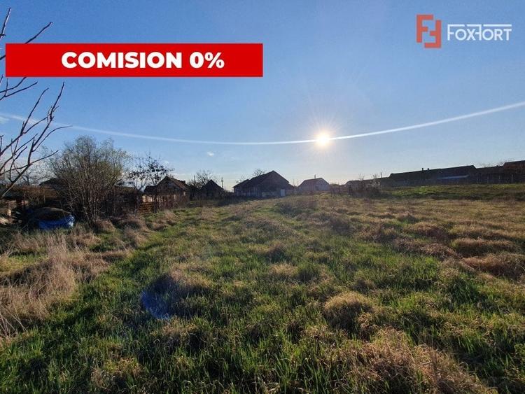 COMISION 0% Casa individuala cu teren de 3930 mp - Padureni - 4