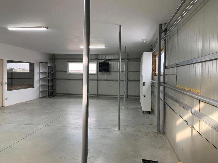 Hala de inchiriat Sanpetru - 2