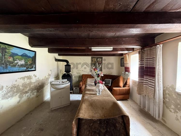 CASĂ LA ȚARĂ - 1149 MP TEREN | LA 8 KM DE VISCRI - 6