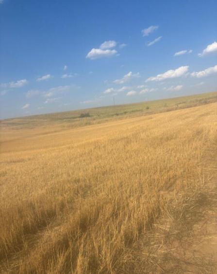 Teren intravilan, 500mp, zona Malu Mare, comision 0% - 4