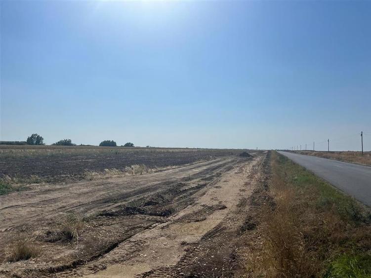 RECO Teren extravilan cu acces  la drumul Oradea-Livada de Bihor - 5