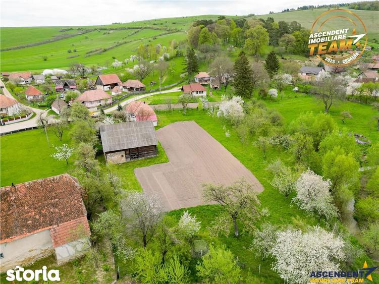 Casa cu farmec rustic + teren privat de 3.315 mp, Borosneul Mic, Covas - 19
