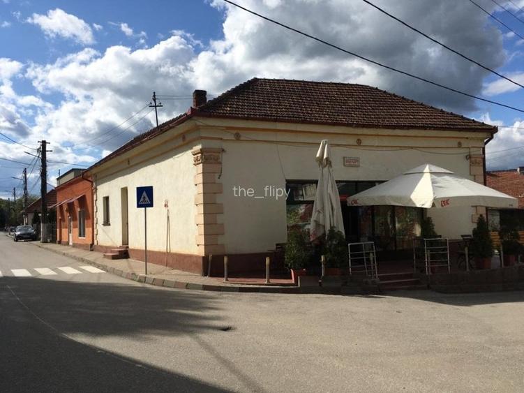 Casa cu spațiu și vad comercial, Băita (centru)