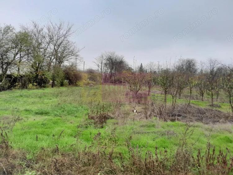 BARCANESTI - casa +curte+teren 16k mp - 15