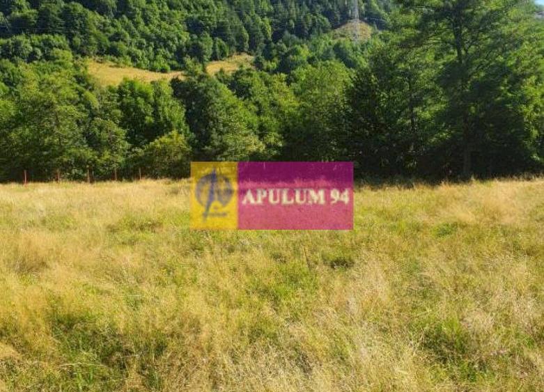 Teren Județul Vâlcea - Brezoi, Valea lui Stan - 22
