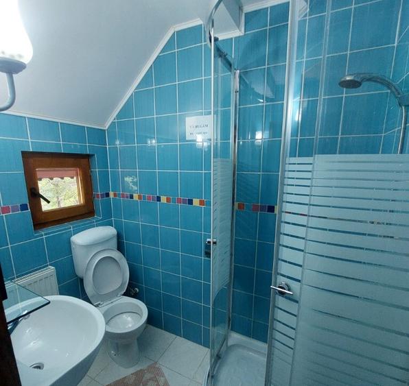 Pensiune turistica (afacere la cheie) Lepsa - 14