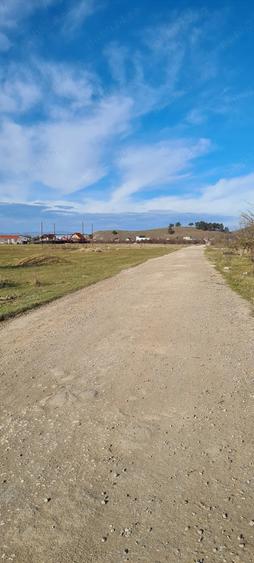 Teren 400mp Sanpetru-Livada - 1