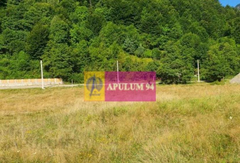 Teren Jude?ul Valcea - Brezoi, Valea lui Stan - 3