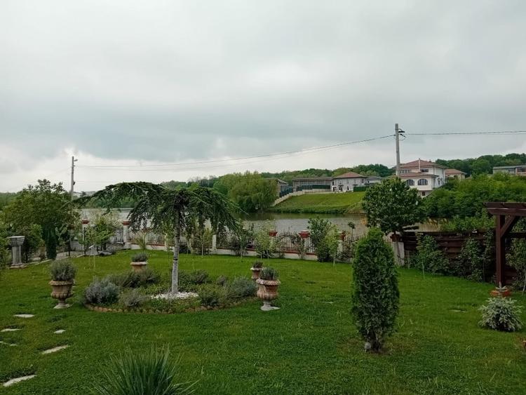 De vanzare vila exceptionala in stil Neo Romanesc cu vedere la lac si padure - 6