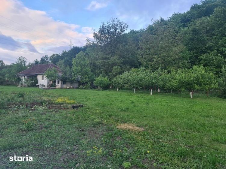 Vand casa cu gradina - 8