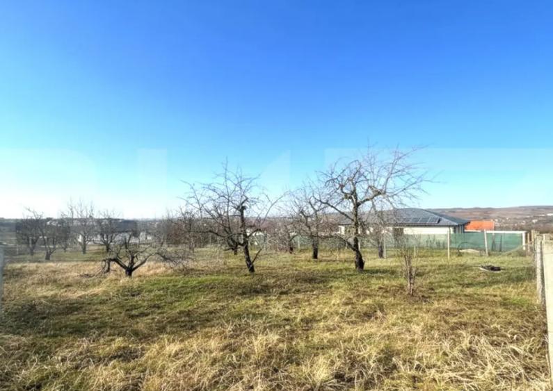 Teren cu dubla-deschidere, Paleu, 1000mp - 2