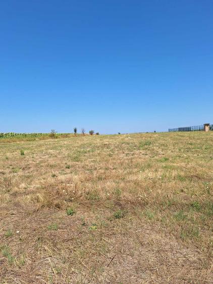 Vand teren extravilan in com. Suseni( la 15 km de Pitesti) - 3