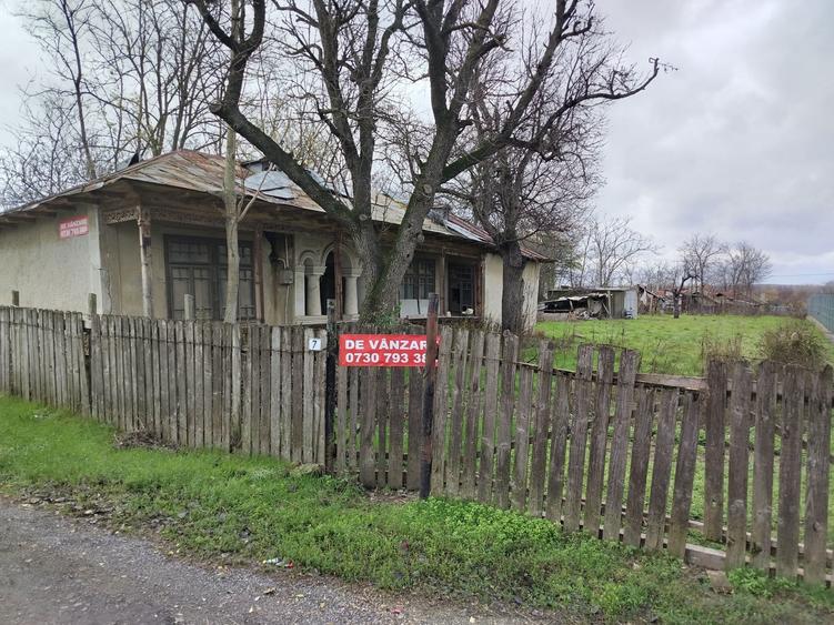 Vand teren intravilan 1000 ,pregatit pentru vanzare . - 4